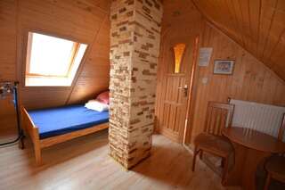 Дома для отпуска DorJan - Pokoje i domki Дзивнувек Небольшой двухместный номер с 1 кроватью - Мансарда-26